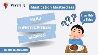 Mastication masterclass  How mastication works  from bite to bolus  mastication muscles [upl. by Lil]