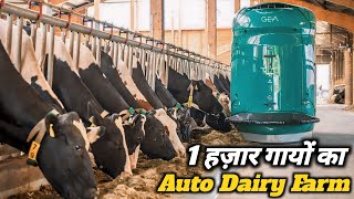 सबसे बड़ा High Tech डेयरी फार्म  Fully Automated Modern Dairy Farm  modern dairy farm in india [upl. by Nnylrefinnej]