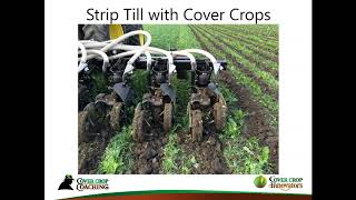 Podcast Strategic StripTilling with Cover Crops [upl. by Ib221]