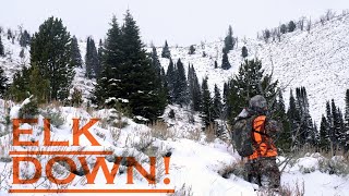 Late Season Montana Elk Hunt2020 [upl. by Genny]