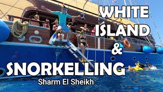 Ras Mohamed Pirates Adventure White Island amp Snorkelling  Sharm El Sheikh [upl. by Lenej419]