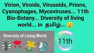 Virion Viroid Virusoids Prions Cyanophages Mycoviruses 11th BioBotany Diversity in [upl. by Haet591]