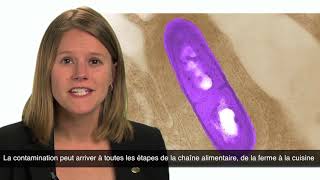 Les risques que fait courir Listeria Monocytogenes [upl. by Lahsiv]