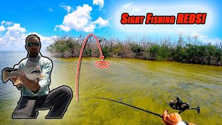 Spring Time Top Water and Sight Fishing Redfish In Sanibel Island [upl. by Krongold]