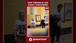 Climate Activists Once Again Target Van Goghs Sunflowers This Time With Tomato Soup [upl. by Kayla]