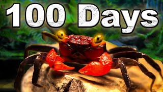 I Simulated an Island ecosystem for 100 days [upl. by Stanway201]