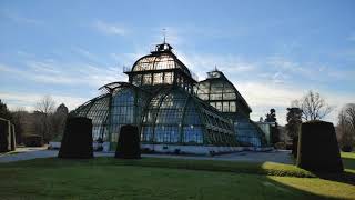 Palmenhaus Spaziergang Wien Schlosspark Schönbrunn [upl. by Ittam]