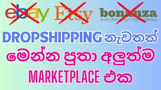 New Dropshipping Sinhala  New Selling Platforms  Ebay Etsy Alternatives  Earn Money Online [upl. by Hahn]