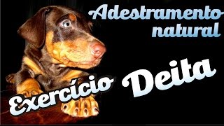 Curso Adestramento natural  32  Deita [upl. by Gerkman]