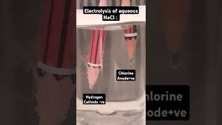 electrolysis experiment science water chemistry amazingshorts youtubeshorts [upl. by Rolanda933]