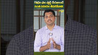 గొర్రెల ఫామ్ స్టార్ట్ చేయాలంటే ToneAgri SheepBusinessGuide SheepAgeDetermine sheepfarming [upl. by Anauq]