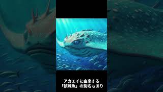 赤えい は江戸時代後期の奇談集『絵本百物語』に登場する妖怪です [upl. by Egide]