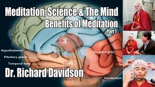 Meditation Science amp The Mind  Pt 1  Dr Richard Davidson  Benefits of Meditation on the Brain [upl. by Ataynik]