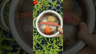 Tips for Plants Care  Plants Care Tips  Tips and Tricks  viral shorts gardeningtips [upl. by Einotna787]