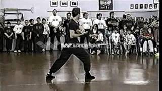 Ha Say Fu Hung Gar Kuen Kung Fu [upl. by Rekab986]