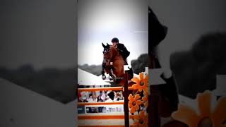 This is my first ever smoothest slow motion🫶🏻🥳horse equestrian horsefan [upl. by Nickerson184]