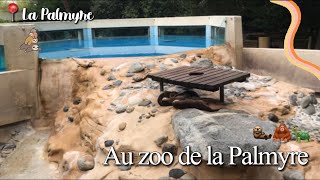 Au zoo de la Palmyre VLOG [upl. by Aneleiram]