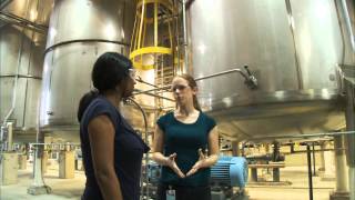 What Does a Chemical Engineer Do  Careers in Science and Engineering [upl. by Norahc171]