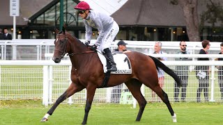 WOODSHAUNA wins the 2024 Prix Nonoalco [upl. by Cann184]