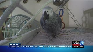 Meet Bud Parrot possible murder witness [upl. by Reemas]