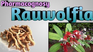 Pharmacognosy of Rauwolfia [upl. by Tterrab]