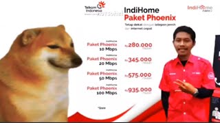 Indihome Paket Phoenix Memes [upl. by Yemorej]