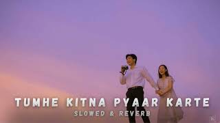 Tumhe Kitna Pyaar Karte  Slowed amp Reverb [upl. by Anwahsit]