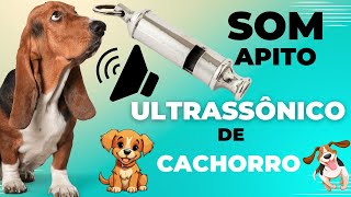 SOM de APITO ULTRASSÔNICO para CACHORRO  DESCUBRA o BARULHO do Apito Ultrassônico para Cachorro [upl. by Ainolloppa]