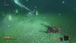 Sekiro  Underwater Headless NGDemon Bell No Damage at Ashina Castle [upl. by Liv]