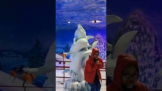 Dolphin n me😊😃 Shortvideo snow ice [upl. by Eralc]