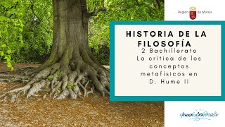 LA CRÍTICA DE LOS CONCEPTOS METAFÍSICOS EN D HUME II [upl. by Eiramit266]