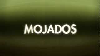 Mojados  trailer [upl. by Notgnirrac109]