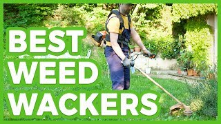 ✅ 10 Best Weed Wackers 🌄 The Best Weed Wacker in 2019 [upl. by Billen890]