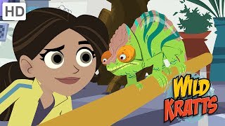 Wild Kratts  Discovering the Secrets of the Animal Kingdom [upl. by Refinnej]