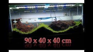 Aquascape 90X40X40 cm [upl. by Nyvar]