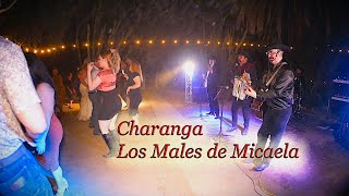 Charanga Los Males de Micaela [upl. by Vasilis]