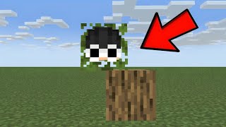 I Shapeshift to Cheat in Minecraft Hide and Seek [upl. by Aiceled]