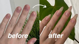 how to grow your natural nails fast [upl. by Dera]