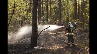 Waldbrand bei RathenowSemlin sorgt für Großeinsatz der Feuerwehr [upl. by Deeas891]