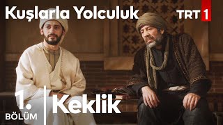 Doğan  Kuşlarla Yolculuk 2 Bölüm [upl. by Claudetta]