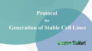 Protocol for Generation of Stable Cell Lines [upl. by Dragon]