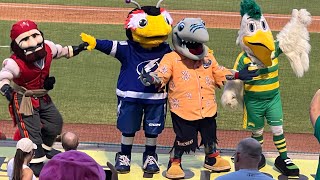 Clearwater Threshers mascot Phinley Birthday party Philadelphia Phillies Single A Team [upl. by Atiran]