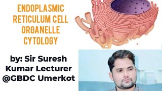 Endoplasmic reticulum strcuture and function Endoplasmic reticulum class 11Urdu ProSuresh Kumar [upl. by Backler461]