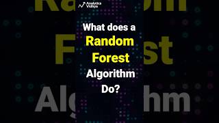 What does a Random Forest Algorithm do  Random Forest explained  Must watch [upl. by Etteinotna177]