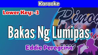 Bakas Ng Lumipas by Eddie Peregrina Karaoke  Lower Key  3 [upl. by Feingold]