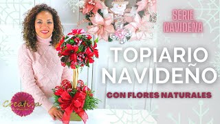 🟢🌲Cómo hacer TOPIARIO NAVIDEÑO Con Flores Naturales y Esfera 🟢 [upl. by Johnette]