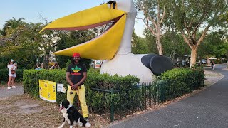 Noosaville Queensland Australia  Noosa Walking Tour with Ambient Sounds [upl. by Genny61]