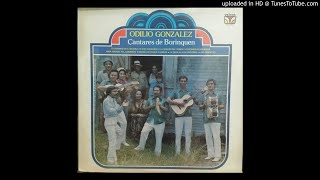 Odilio Gonzalez  Cantares de Borinquen 1977 [upl. by Branden]