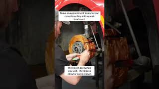 Stop your brakes from squeaking today cars automobile mechanic car mechancial [upl. by Ahsyat533]