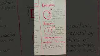 Endocytosis amp Exocytosis cellbiology scienceeducation bioscienceilmkiduniya [upl. by Yorel]